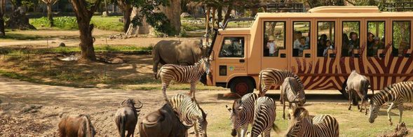 峇里島野生動物園Bali Safari & Marine Park