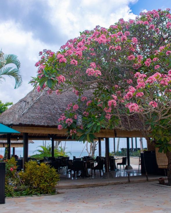 DAMAR TERRACE 下午茶