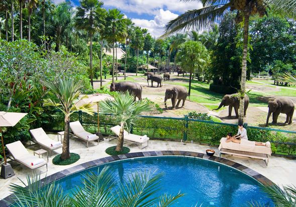 Mason Elephant Lodge Ubud