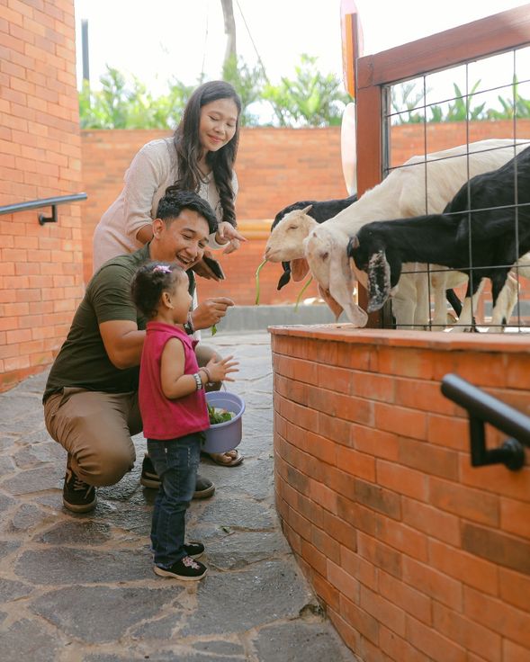 Mai Main Playground Canggu親子專屬遊樂場~含室內及室外遊樂場、可愛小動物餵食區