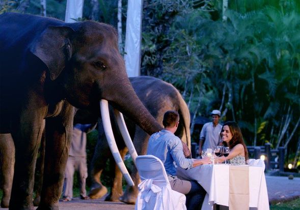 Mason Elephant Lodge Ubud