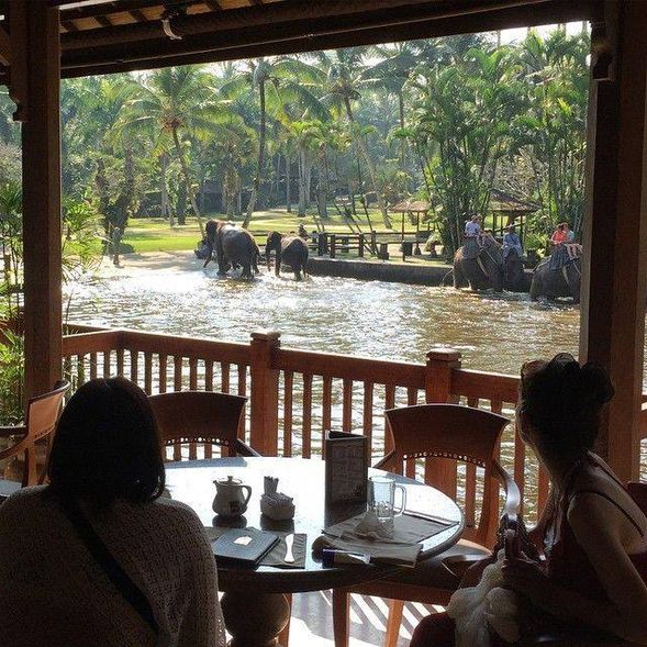 Mason Elephant Lodge Ubud