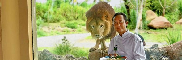 峇里島野生動物園Bali Safari & Marine Park