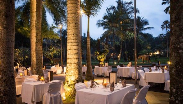 Mason Elephant Lodge Ubud