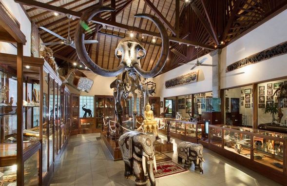 Mason Elephant Lodge Ubud