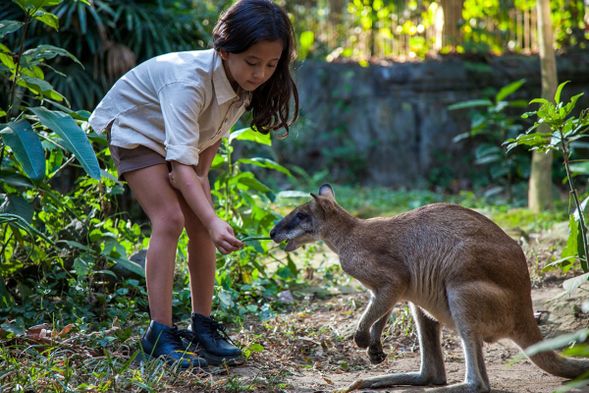 峇里島BALI ZOO動物園