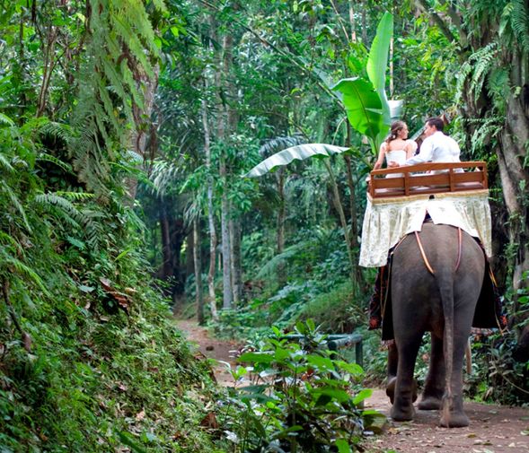 Mason Elephant Lodge Ubud