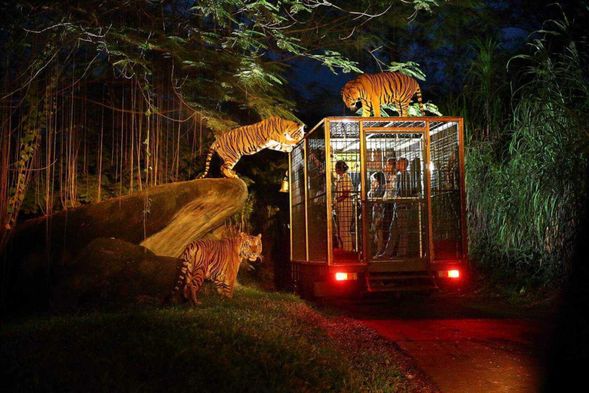 峇里島野生動物園Bali Safari & Marine Park
