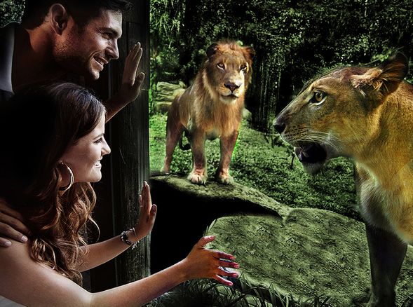 峇里島BALI ZOO動物園