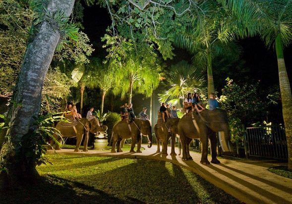 Mason Elephant Lodge Ubud