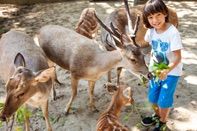 峇里島BALI ZOO動物園