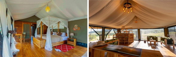 🛏️住宿:Zuri Camp
隨遷徙而移動的野奢帳篷營地。貼近塞倫蓋提核心區域,讓您在最真實的草原環境中,體驗大自然的壯麗與野性。白天可近距離觀賞數十萬頭角馬與斑馬的遷徙場景,夜晚則在帳篷裡聆聽草原的低語與野生動物的呼吸。