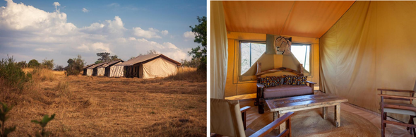 🛏️住宿:Gnu migration camp-Mara River(連住3晚-第二晚)
隨著大遷徙路線移動,確保旅客能在最佳地點觀賞渡河奇景。