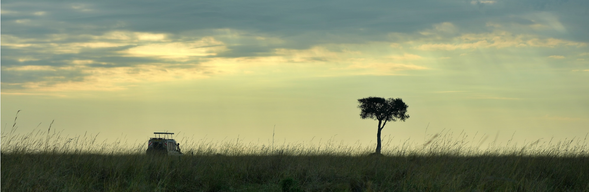 前往吉力馬札羅國際機場
早餐後,將搭乘草原飛機,回到阿魯沙市區,享受美好的午餐後,準備搭乘前往吉力馬札羅國際機場的航班。 雖然這是我們此次 Safari 的結束,但這絕對不是要跟您說見面,珍藏您在狩獵日子的美好時刻,期待下次再和你,一起回到這片讓人心動的大地。