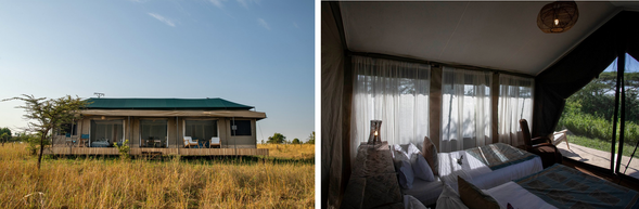 🛏️住宿:Nyikani Migrationa Camp (連住二晚-第一晚)
Nyikani Migration Camp 是一座隨著動物大遷徙移動位置的豪華移動營地,依季節駐紮於塞倫蓋蒂最接近遷徙大軍的區域。舒適寬敞的帳篷結合完善設施,讓旅客在享受住宿品質的同時,也能沉浸於最真實的非洲草原之中。