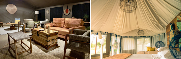 🛏️住宿:Singing Grass Tented Camp
中部草原上的自然風帳篷營地,貼近動物熱區,夜晚可聽見遠方獅吼與角馬奔馳聲,是進入野性非洲的第一站。