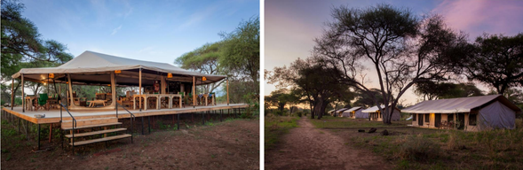 🛏️住宿:Baobab Tented Camp-Tarangire(連住2晚 -第二晚)
營地地點隱密而幽靜,是觀察大象群與經典非洲景觀的絕佳據點。