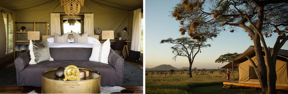 🛏️住宿:Siringiti Central (連住2晚-第一晚)
位於中央塞倫蓋蒂草原核心區域,這裡是遷徙動物與掠食者密集出現的黃金地帶,奢華帳篷設計,享受極致Safari體驗,被無盡草原包圍,帳外即是斑馬、角馬與長頸鹿的自然活動區