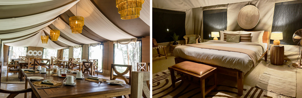 🛏️住宿:The Singing Grass (連住2晚-第一晚)
與自然融為一體的生態營地,簡約設計帳篷,是親近自然的帳篷體驗。這裡沒有喧鬧人潮,只有風吹草動、蟲鳴鳥叫—「草地在唱歌」,就是這間營地名字的由來。