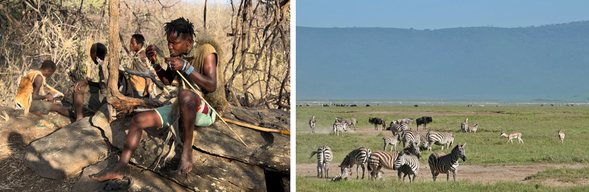 Hadzabe 獵人文化體驗・Ngorongoro 保護區
早晨前往 Hadzabe 部落,體驗東非少數仍維持狩獵採集⽣活的⺠族⽂化。在獵⼈的帶領下⾛入森林,了解他們如何追蹤動物、尋找食物,親身感受⼈類最古老的⽣存智慧。
午餐後驅⾞前往 Ngorongoro 保護區。這座巨⼤的火⼭⼝孕育出豐富⽽完整的野⽣動物⽣態。今晚將入住位於火⼭⼝內的飯店,為隔⽇的 Safari 探索做好準備。