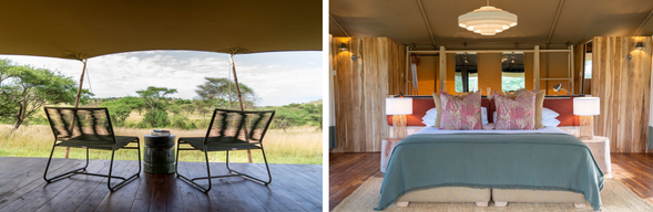 🛏️住宿:Serengeti Acacia
位於塞倫蓋提核心區域,舒適的帳篷住宿結合遼闊草原景觀,在保有舒適度的同時,也能感受最純粹的非洲野性。