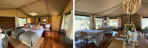 🛏️住宿:Serengeti Acacia
位於塞倫蓋提核心區域,舒適的帳篷住宿結合遼闊草原景觀,在保有舒適度的同時,也能感受最純粹的非洲野性。