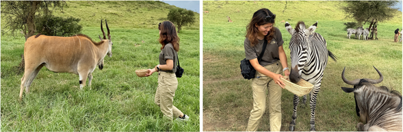 落地後,我們安排你直接前往當地人最愛的動物互動園區 — 這不是觀光農場,而是能與長頸鹿、象龜、鴕鳥面對面的第一站。你可以親手餵食、與動物合影,感受「非洲真的到了!」的實感。