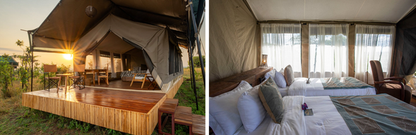 🛏️住宿:Nyikania Mirgration camp (連住三晚-第二晚)
連住第二晚,無需頻繁移動,能將更多時間留給遊獵與等待動物過河的珍貴時刻。在舒適的營地中放鬆休息,以最從容的步調沉浸於塞倫蓋提的壯闊景色與野性魅力。
