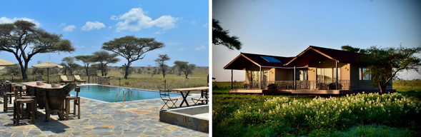 🛏️ 住宿:Sametu Camp – Karibu
位於賽倫蓋提國家公園東部偏遠地帶的 Sametu Camp,是一處遠離人潮、貼近野性本源的隱密基地。這裡沒有城市的喧囂,只有風拂草原與動物低鳴—為你獻上一場真正的「原野沉靜之旅」。