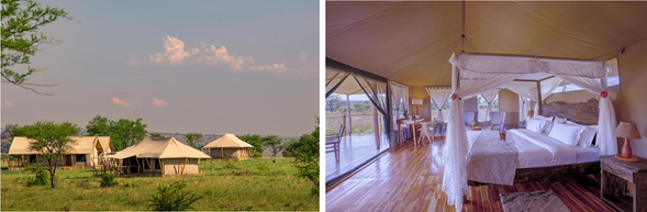 🛏️住宿:Malaika Luxury Camp (連住3晚-第一晚)
清晨,你會在薄霧中醒來
遠方草原塵土升起,那可能是象群,也可能是牛羚正在集結
Malaika 讓你離渡河最近,但它真正珍貴的,是等待的過程