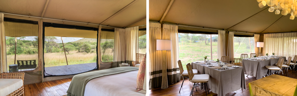 🛏️住宿:Serengeti Acacia
位於塞倫蓋提核心區域,舒適的帳篷住宿結合遼闊草原景觀,在保有舒適度的同時,也能感受最純粹的非洲野性。