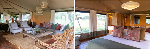 🛏️住宿:Serengeti Acacia
Seronera 是塞倫蓋提中部動物最密集的區域之一
全年幾乎都有穩定野生動物活動,
常見獅群、豹、鬣狗、象群