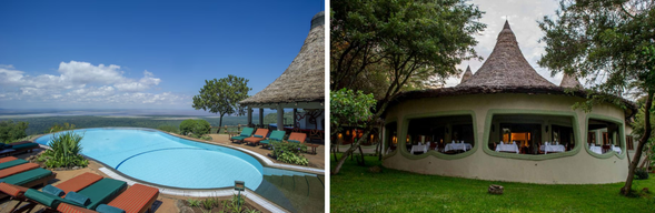 🛏️住宿:Lake Manyara Serena Safari Lodge
擁有俯瞰 Manyara 湖的壯麗景觀,無邊際泳池與餐廳就能俯瞰湖面與大裂谷平原。結合非洲元素與現代舒適設計,屋頂多為茅草結構。