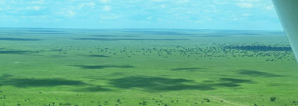 抵達吉力馬札羅機場 > 阿魯沙Arusha
經過一系列的轉機和航班,你終於來到坦尚尼亞,這將是一場令人難忘的冒險之旅
很快你就會發現這段長途旅行是多麼值得
你的導遊將在吉利馬札羅國際機場(JRO)迎接你,將前往阿魯沙的酒店。好好休息、調整時差,迎接接下來充滿野性魅力的每一天。