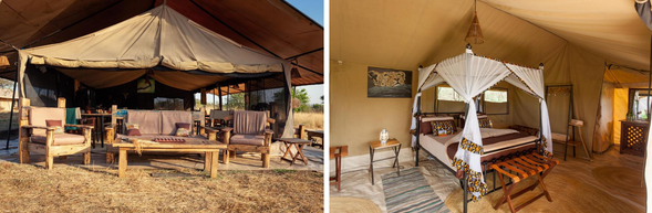 🛏️住宿:Gnu migration camp-Mara River(連住3晚-第一晚)
位於 塞倫蓋提北部馬拉河流域的季節性野奢帳篷營地,正是每年 7–10 月間牛羚與斑馬渡河的核心區域。這裡是草原最震撼的舞台,每一天都有機會見證數萬動物聚集河岸、鼓起勇氣躍入水中的壯闊場景。