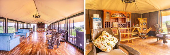 🛏️住宿:Malaika Luxury Camp(連住3晚-第二晚)
今天在 Mara River 一帶進行 Safari,追蹤牛羚與斑馬的遷徙動向。
當族群聚集在河岸邊時,隨時可能出現震撼的渡河場面。
耐心守候,是過河季最令人期待的時刻。