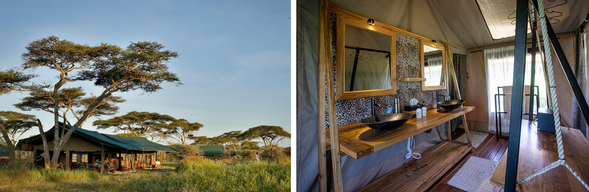 🛏️住宿:Nyikani Migrationa Camp 連住二晚-第二晚
營地最大的特色,就是能夠貼近遷徙路線。清晨走出帳篷,便有機會看見成群牛羚、斑馬或其他野生動物在營地周圍活動,帶來獨一無二的 Safari 體驗。