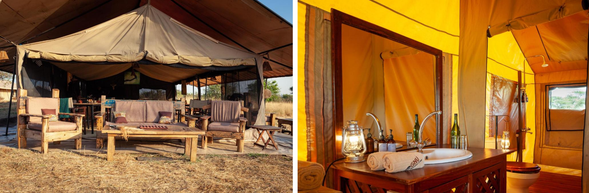 🛏️住宿:Gnu migration camp-Mara River(連住3晚-第二晚)
帳篷內設有私人衛浴與舒適床鋪,讓您在荒野中心仍能享受貼心的休憩體驗。夜晚伴隨草原的蟲鳴與遠方獅吼入眠,是難得的沉浸式自然體驗。