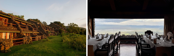🛏️住宿:Ngorongoro Serena Safari Lodge
隱身於火山口邊緣的經典旅宿 —— Ngorongoro Serena Safari Lodge。石牆的建築與自然環境融為一體,每間客房都擁有專屬陽台,可遠眺壯闊的火山口景致。
