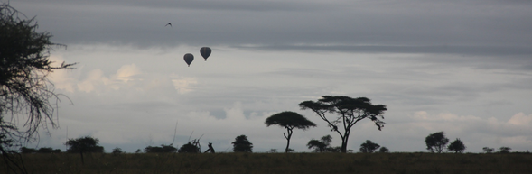 回到阿魯沙|旅程的尾聲
早餐後,將從 Mawe Mawe 出發,驅車前往 阿魯沙市區(Arusha)。沿途再次感受坦尚尼亞的地景從自然回歸人間,從靜謐湖畔走向活力城市。
隨後前往機場,準備搭機返台,結束這段為期七天的 Safari 深度之旅。
你曾凝視過火山口的寧靜,也見證過草原上的奔馳與追逐。這不只是一趟旅行,而是一場與自然、與自己重新連結的過程。
