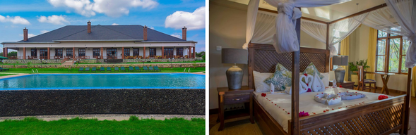 🛏️住宿:Ngorongoro Coffee Lodge (連住兩晚-第一晚)
位於 Karatu 咖啡莊園中,環境幽靜,綠意環繞。小木屋風格住宿溫馨舒適,並可欣賞咖啡園景致,是前往恩戈羅恩戈羅火山口前的理想住宿地點。