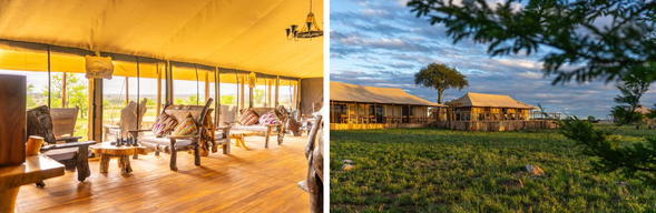 🛏️住宿:Malaika Luxury Camp(連住3晚-第三晚)
繼續在塞倫蓋提北部探索,每一天的草原都有不同的故事。
也許是成群動物奔騰而過,也可能是掠食者與獵物之間的緊張瞬間。
在草原星空下度過最後一晚,為這趟旅程留下難忘回憶。