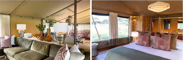 🛏️住宿:Serengeti Acacia
Seronera 是塞倫蓋提中部動物最密集的區域之一,全年幾乎都有穩定野生動物活動,常見獅群、豹、鬣狗、象群