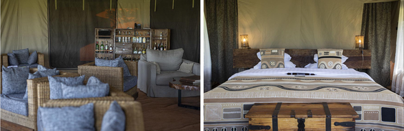 🛏️住宿:Nyikani Migration Camp((連住3晚-第二晚)
營地每年根據野生動物的遷徙路線移動兩次,確保賓客始終處於最佳觀賞位置。