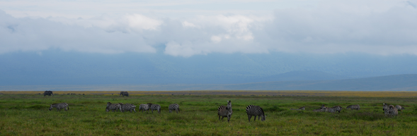 Kilimanjaro Airport – Arusha
抵達坦尚尼亞在吉力馬札羅國際機場,英文專業導遊及中文領
隊將親自迎接您,隨後展開第一段陸地旅程,將前往阿魯沙的
飯店。好好休息、調整時差,迎接接下來充滿野性的每一天。