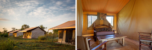 🛏️住宿:Gnu migration camp-Mara River(連住3晚-第三晚)
您將更能體會此營地的獨特位置。由於鄰近遷徙動線,常可在營區周圍就觀察到大群動物穿梭,彷彿置身於自然舞台之中。