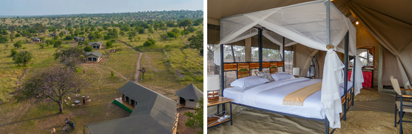 🛏️住宿:Maliaka camp-Migration Camp(連住2晚-第二晚)
在草原等待真正的時刻。
將耐心,轉化為機會。