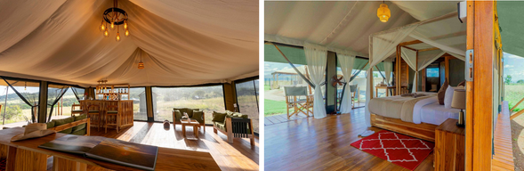 🛏️住宿:Zuri camp - Serengeti (連住二晚-第一晚)
入住位於塞倫蓋提草原中的 Zuri Camp,近距離感受非洲荒野的寧靜與壯闊。
夜晚在星空與自然聲響陪伴下休息,沉浸於最真實的 Safari 氛圍之中。