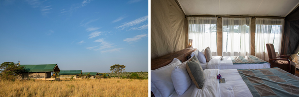 🛏️ 住宿:Nyikani Migration Camp(連住3晚,第一晚)
營地為季節性移動式帳篷設計,跟隨野生動物的遷徙節奏,每年移動兩次,讓旅客始終站在最佳觀賞位置。