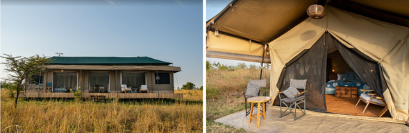 🛏️住宿:Nyikani Migration Camp((連住3晚-第三晚)
為尋求貼近自然、觀賞野生動物大遷徙的旅客提供了絕佳的住宿選擇。無論是情侶、家庭還是攝影愛好者,都能在此享受結合舒適、冒險與生態保育的獨特體驗。